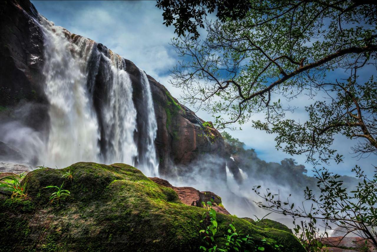 Niraamaya Retreats Samroha Athirappilly Buitenkant foto